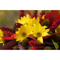 BOUQUET D'AUTOMNE N°2