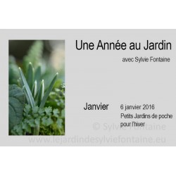 UNE ANNEE AU JARDIN  - 6 janvier PETITS JARDINS DE POCHE POUR L'HIVER