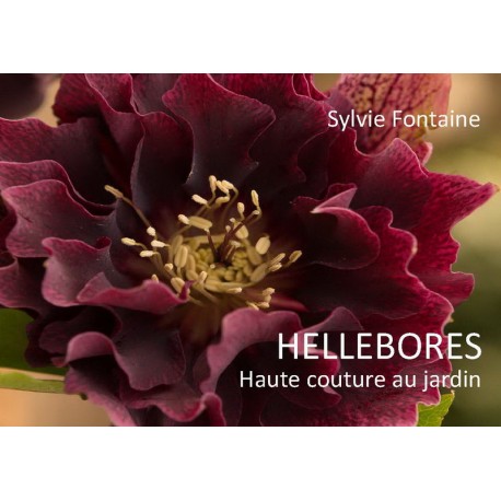 HELLEBORES Haute couture au jardin- Cd-livre numérique-extraits- Sylvie Fontaine