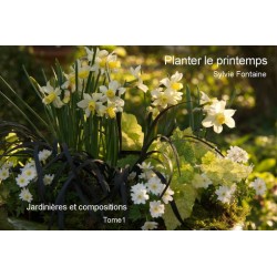 PLANTER LE PRINTEMPS  Jardiniéres et compositions en téléchargement