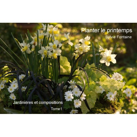 CD-LIVRE NUMERIQUE  Planter le printemps -Jardiniéres et compositions