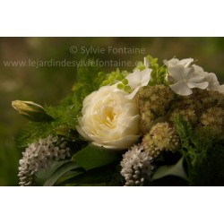 PHOTO BOUQUET BLANC ET VERT N°1 A4